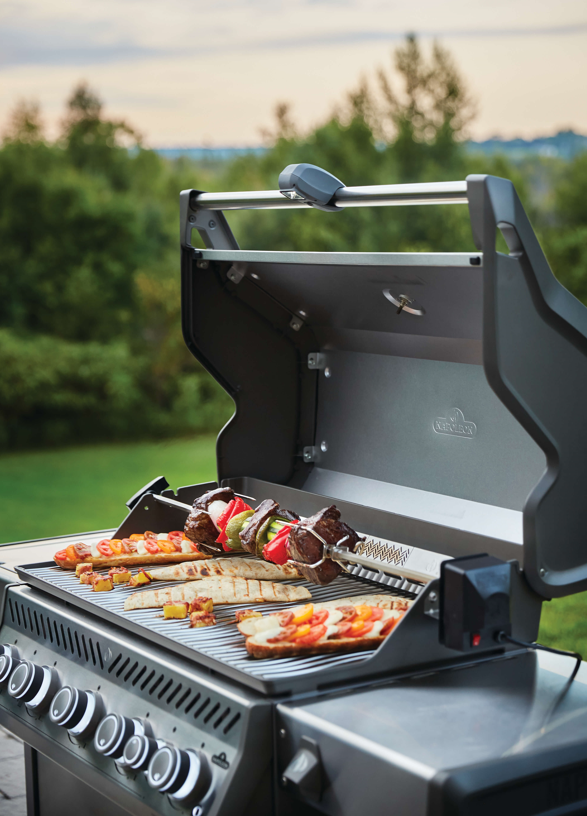 Napoleon rogue online